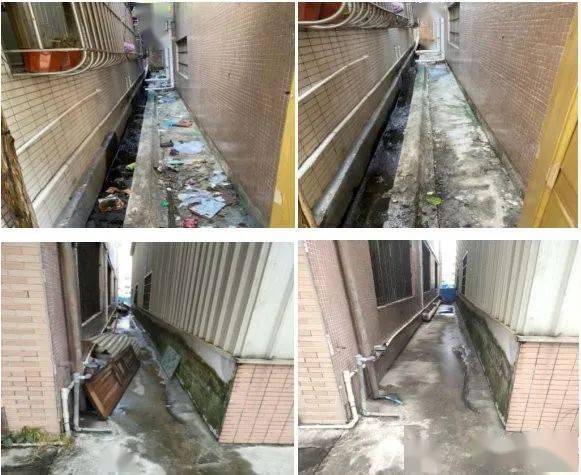 九洲基人口_九洲基尸体