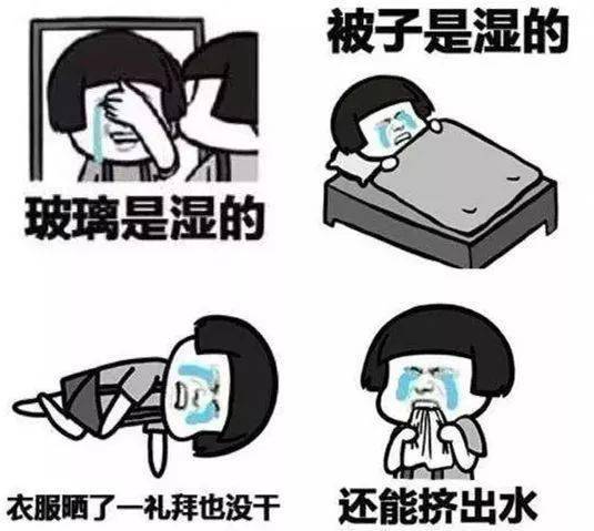 开元网站|
苏州即将连下13天雨!幸亏有个好消息...(图8) 开元网站|
苏州即将连下13天雨!幸亏有个好消息...(图8)