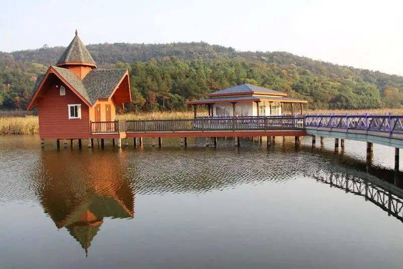 肥西区GDP_合肥肥西交通事故图片