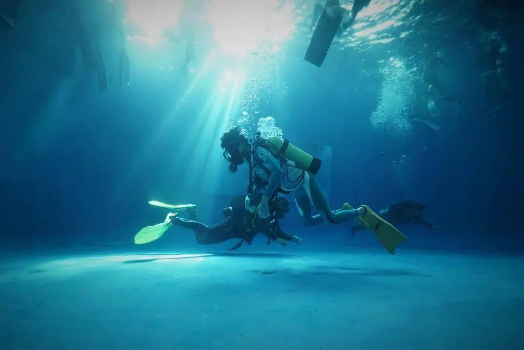 自由飞翔的感觉 0789eff554754b99bdd77773d81f87a4.jpeg