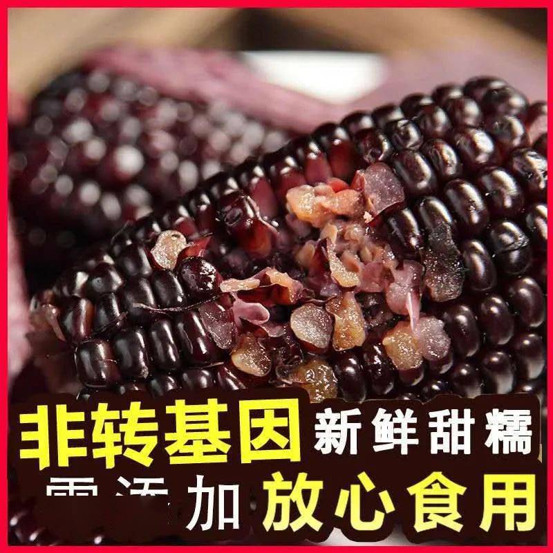 忻州|还有酸甜可口的山楂棒棒糖!超值39.9元丨老少孕妇都爱吃的忻州黑玉米返团