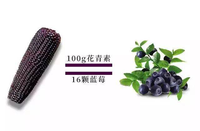 忻州|还有酸甜可口的山楂棒棒糖！超值39.9元丨老少孕妇都爱吃的忻州黑玉米返团