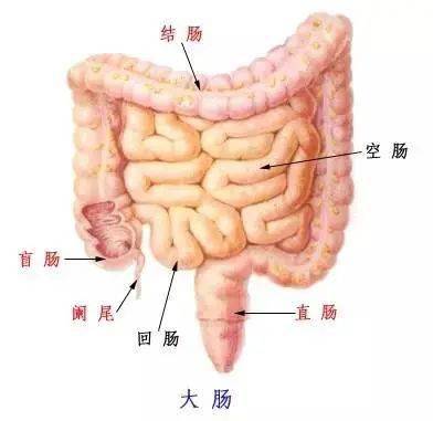 【预警】这种癌早期症状不明显 身体出现这些症状要格外注意!