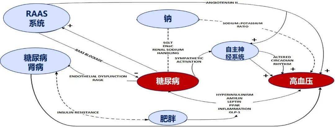 【糖尿病学术前沿】糖尿病与卒中