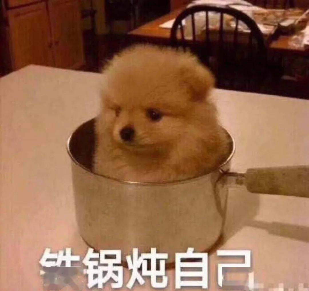 嘬嘬嘬表情包小狗 44e65b15346548869f2072fbcbcc0123.jpeg