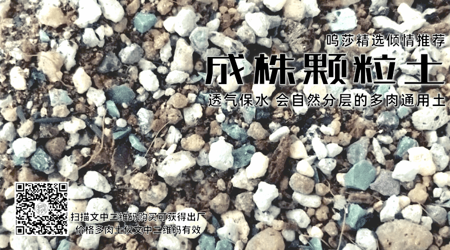 edbcc323d7014b519589a7b1dab35ec1.png