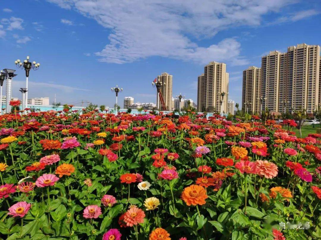 白银市市区人口_白银市连环杀人案