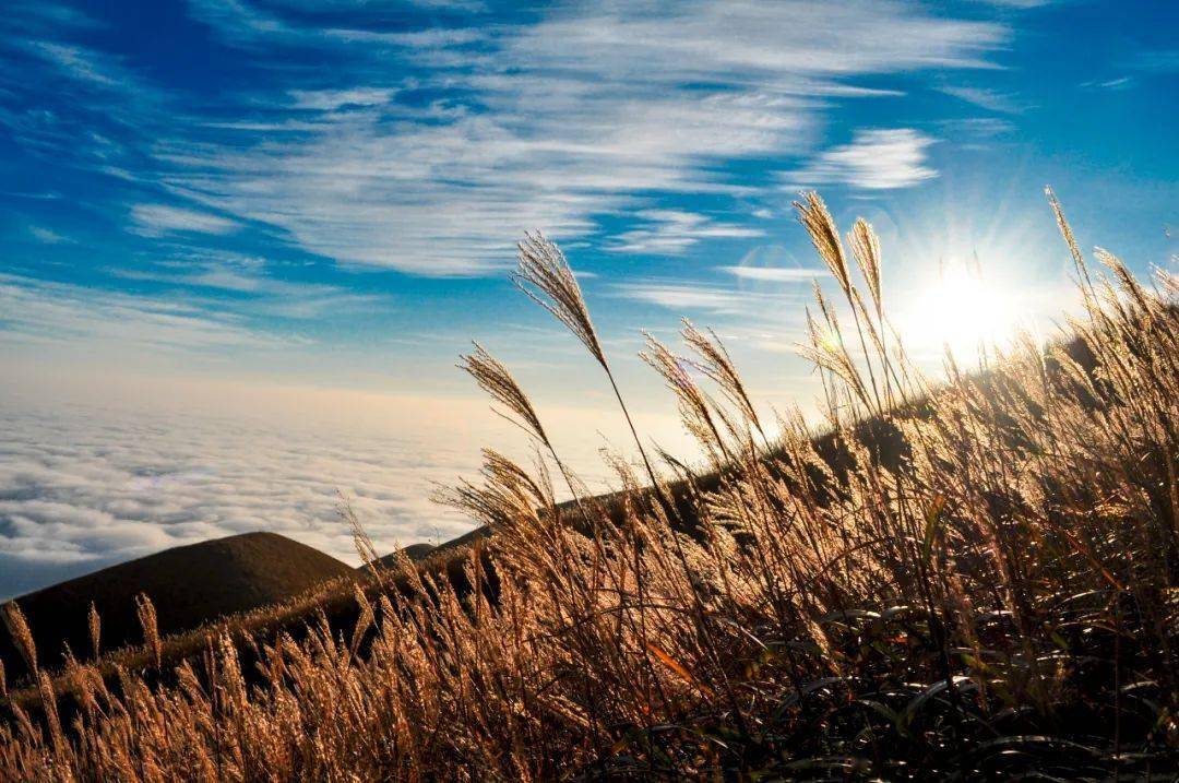 九月|星运说 | 九月，把生活调成喜欢的频道