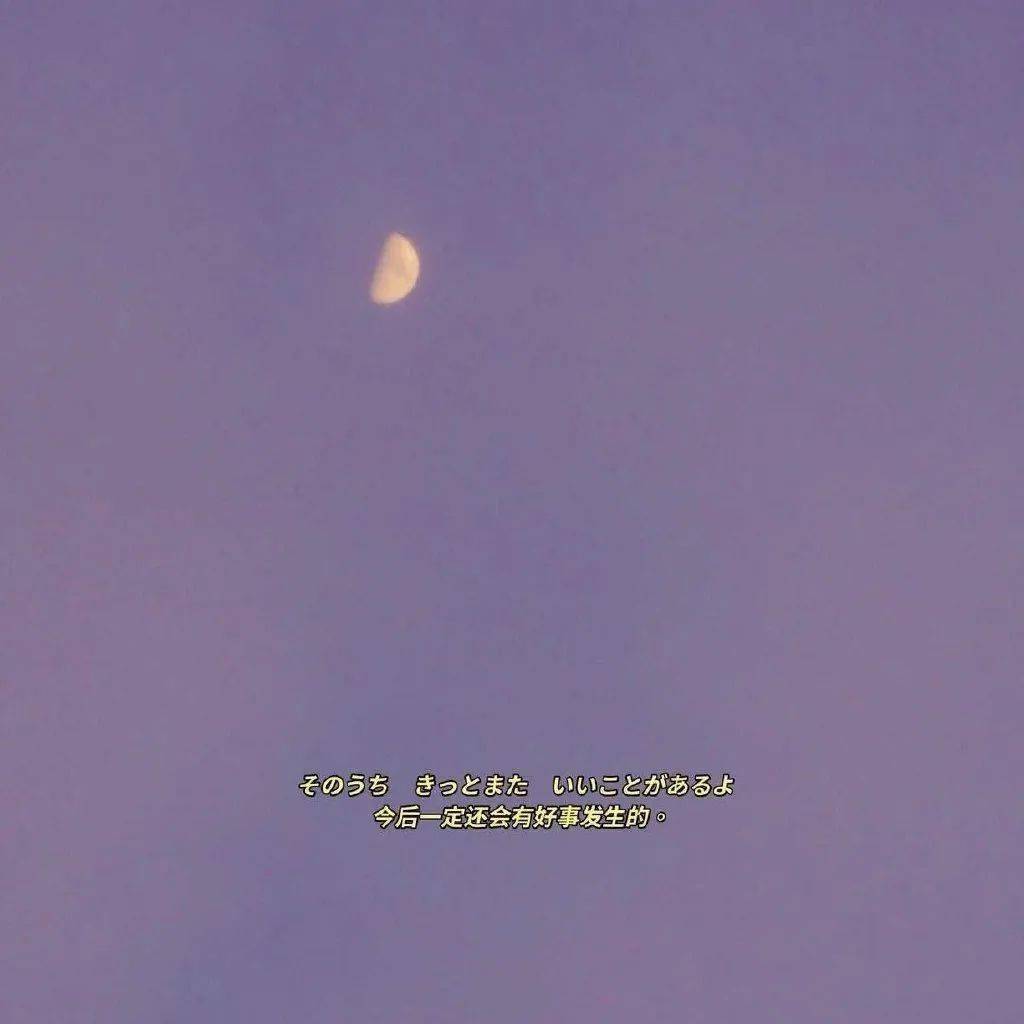 背景图朋友圈花白色 1f05081162d5499089c7c192988b72b8.jpeg