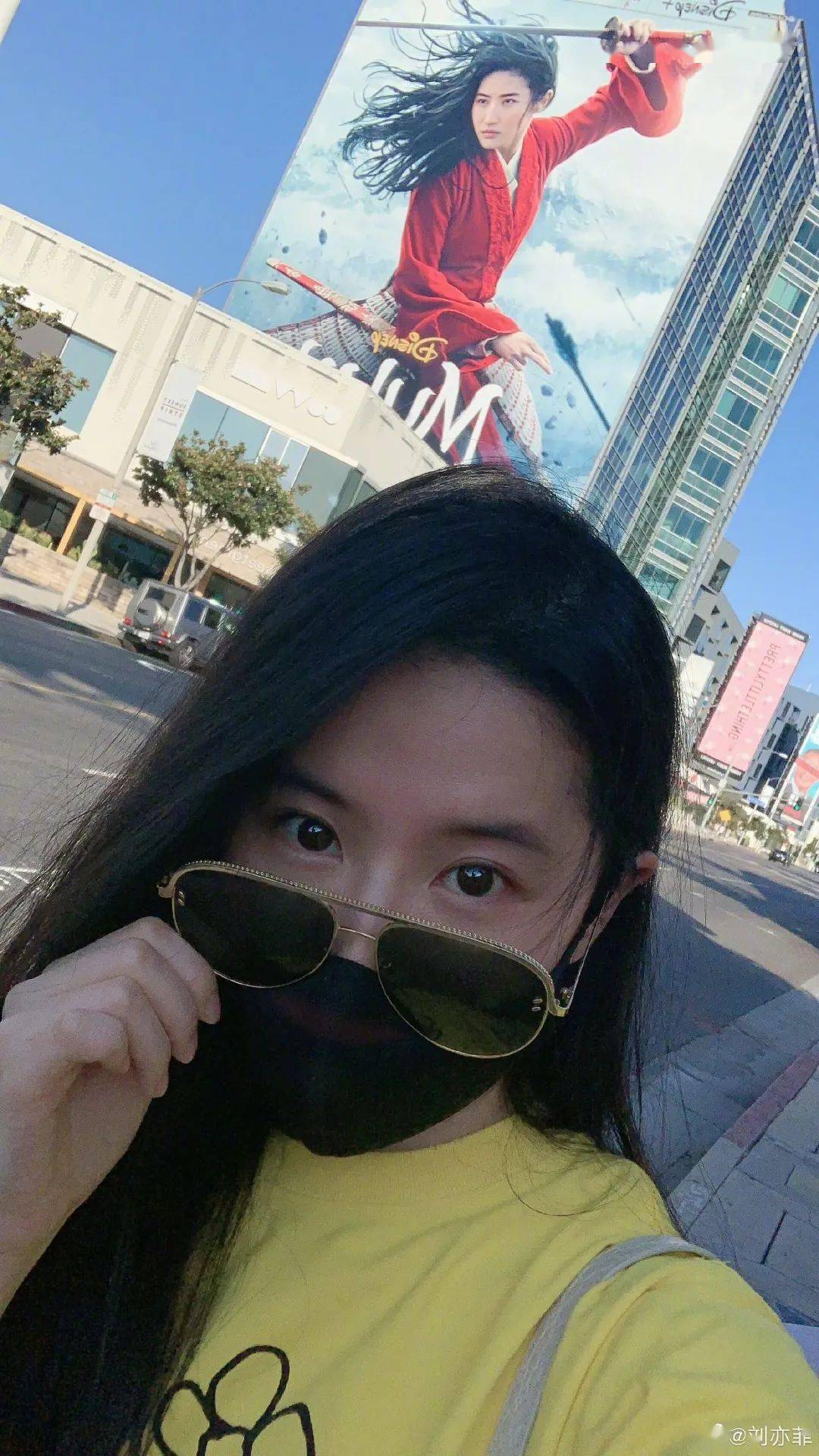 状态|长大以后,喜欢的好像不是刘亦菲的美貌了 | 晚安