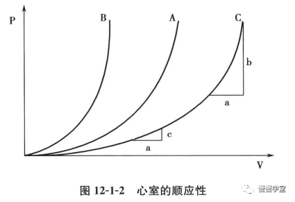 血流动力学基础图解:值得一看!