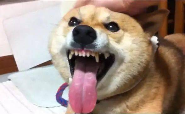 2a3e6a38ab714dcea1492384832ac2ee.jpeg