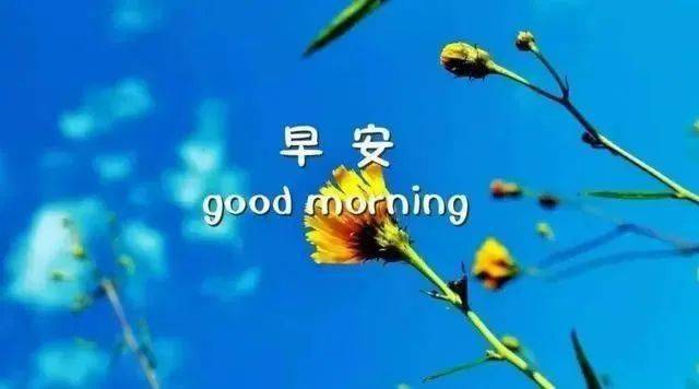九月份微信特别漂亮的早上好动态图片表情早安温馨表情精选