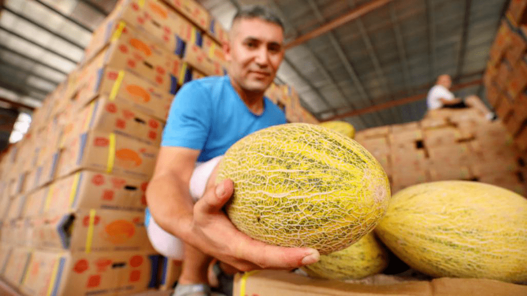 2020伽师县GDP_伽师县的风景图片(3)