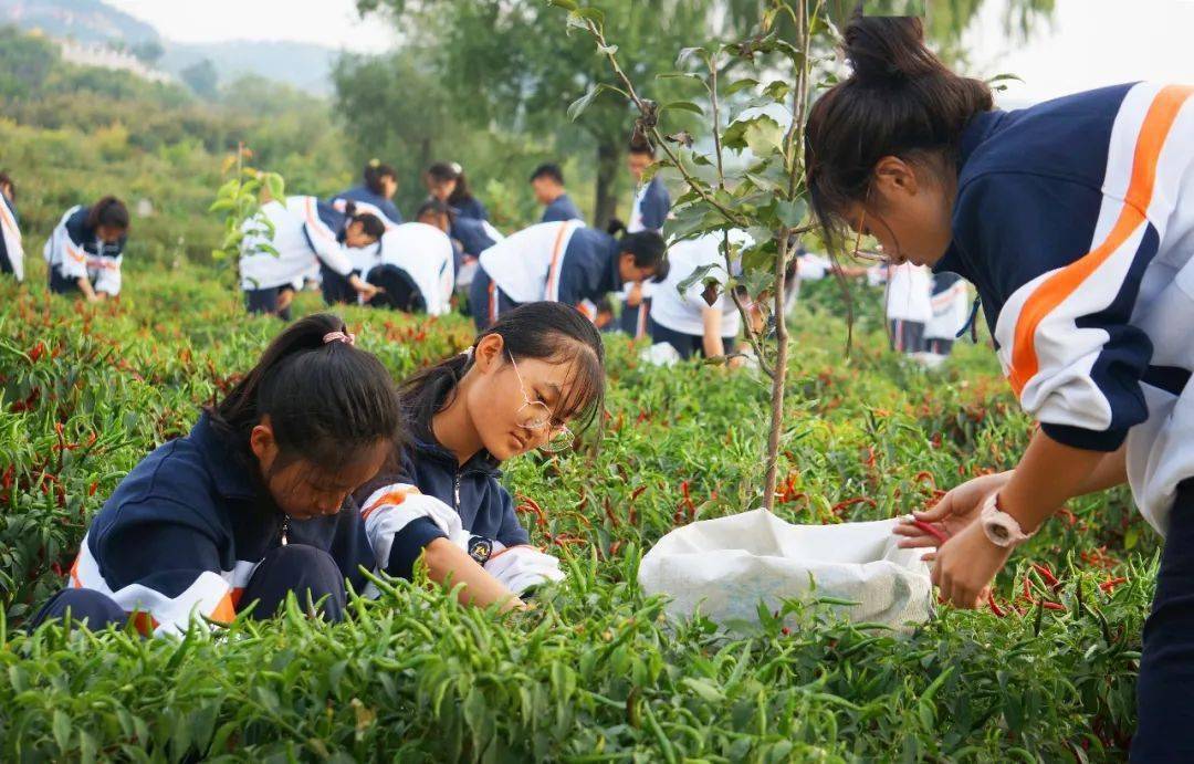 【奋进五中】建立劳动教育基地,构建全面培养体系—长治五中加强