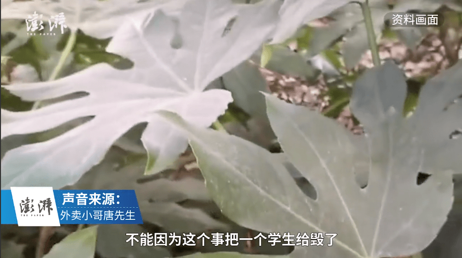 回应|安徽一大学生发短信辱骂外卖员引关注，学校回应