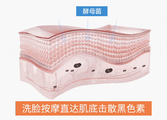 日本|日本人用酒洗脸，60岁还没有皱纹，黑头粉刺全消失，整张脸白皙光滑，细腻弹润！