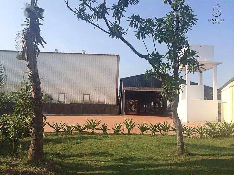 肌肤|因为粗糙的手,丢了颜值还越来越自卑,还好有它拯救了....