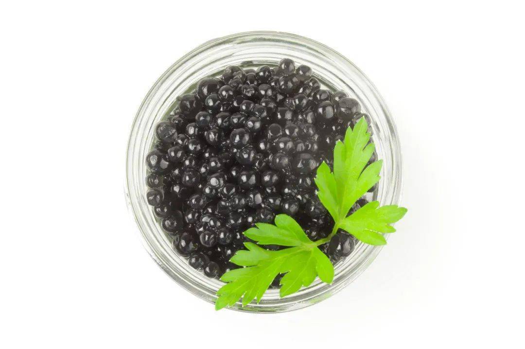 canva|近期做的最后悔的一件事：打开了王霏霏的vlog...