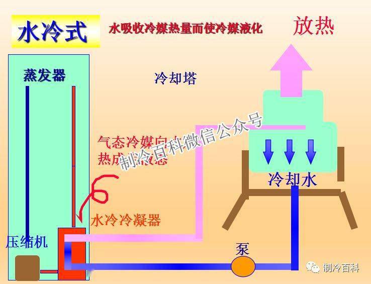 幼儿园教育原理属什么学科_幼儿园安全教育图片