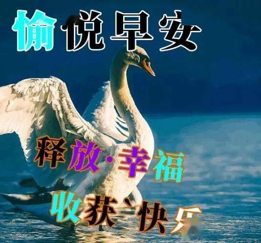 亲们早上好最新图片早晨问候语及关心话 慰问家人朋友