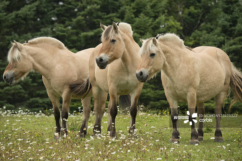 盘点|辣条专业，小龙虾学院……盘点那些你不知道的专业！