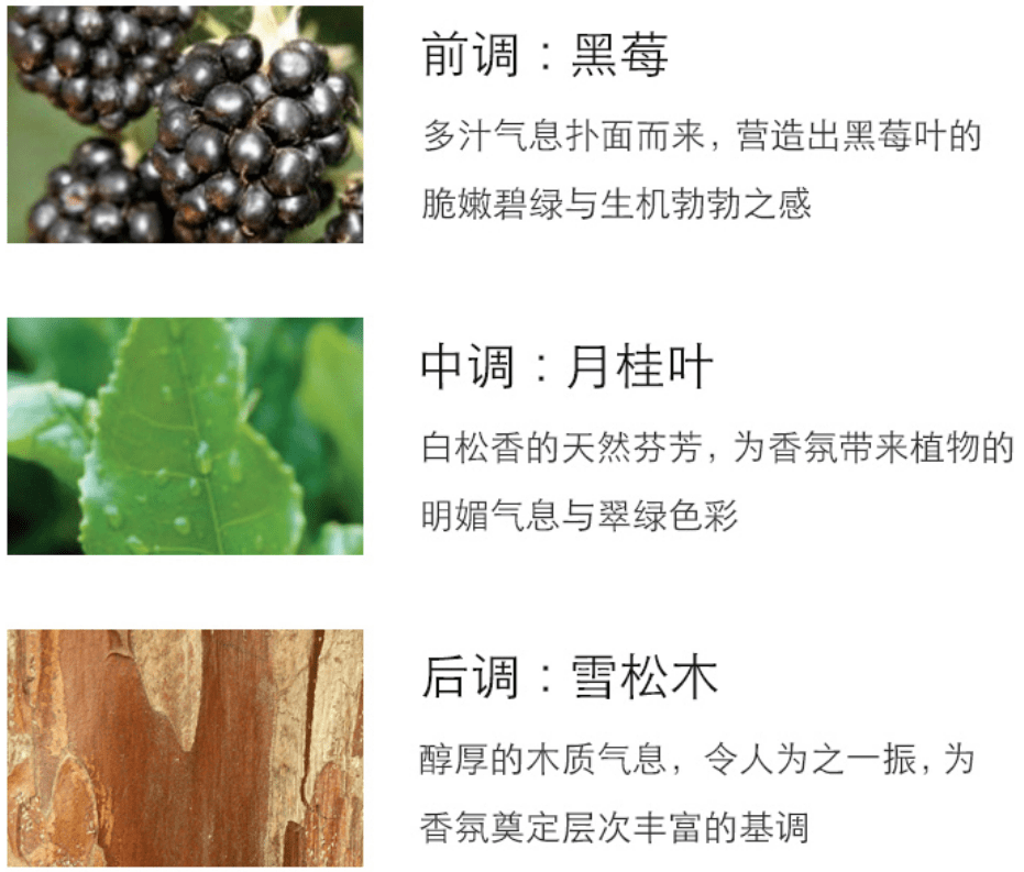香水|299元= 5瓶香水！王菲爱过的Jo Malone发生了什么？专柜要哭了！