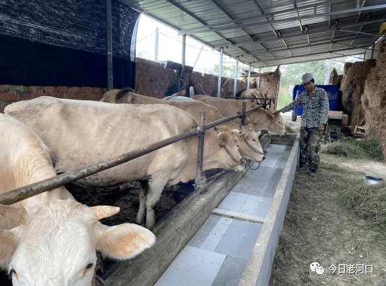 老河口市有多少人口_老河口市一中照片(2)