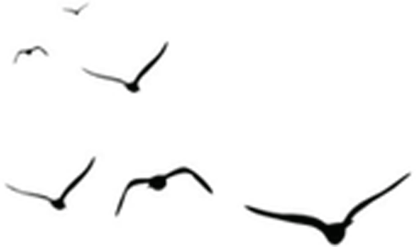 北京|北京学员专属!国师2020年首次线下讲座!