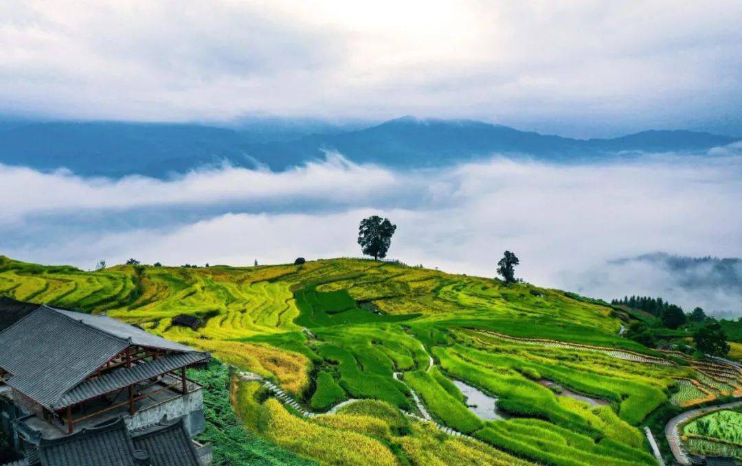 秋色如画,相约在龙胜小岩底梯田开启一场赏秋之旅!_泗水乡