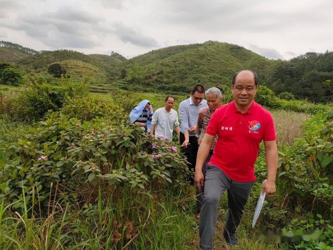 我在村里黄树清村庄变了模样村民的钱袋子也鼓了起来