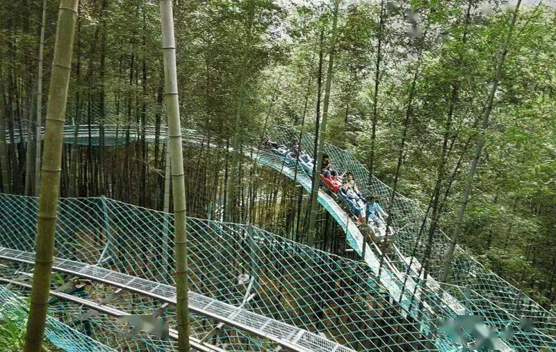 天柱山魔幻森林"森"呼吸旅游节将于9月20日开幕