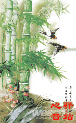 247_400 竖版 竖屏