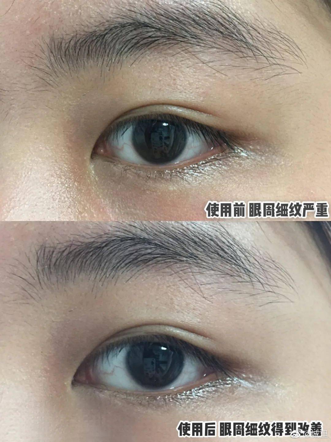 图鉴|《当代上海女子图鉴》,这也太太太真实了吧!