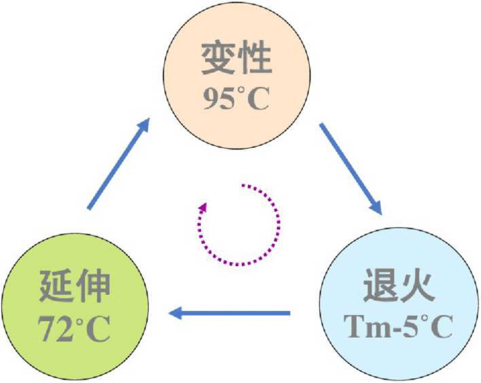 51cfcd593f444f4caae75cdbe6f90364.png