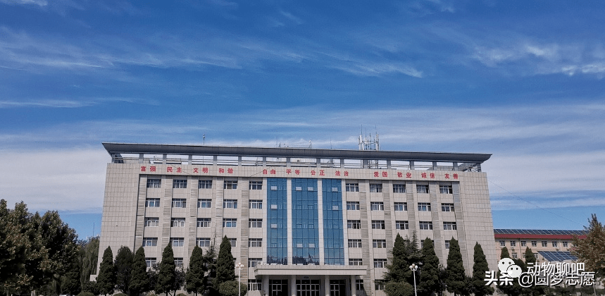 2020年全国二本大学_陕西省高校排行榜(2020版),本科专科高职院校最全分