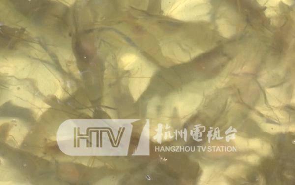 两次检测结果不同！杭州知名超市上“黑榜”，