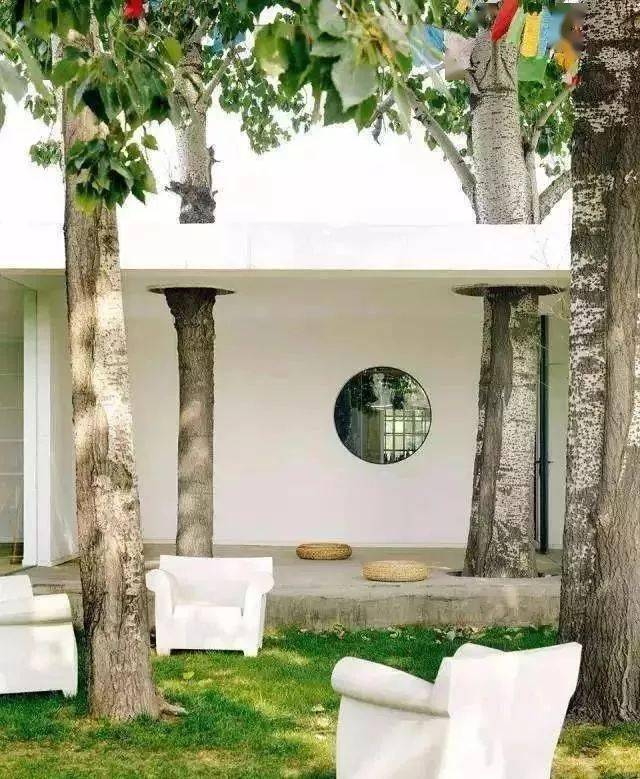 美术|C位出道的宁静曾经是动画师，网友：原来演艺圈有这么多隐藏的美术生？