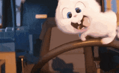 可增选以下收费项目 弹射蹦极 30元/次  旋转秋千 20元/次  水上