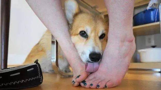 354d4ad821aa4daa97898ca49eb927da.jpeg