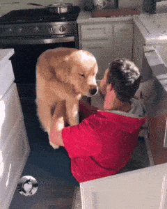 3b6c3fc5c49b4b38ac09567ac9b00e6b.gif