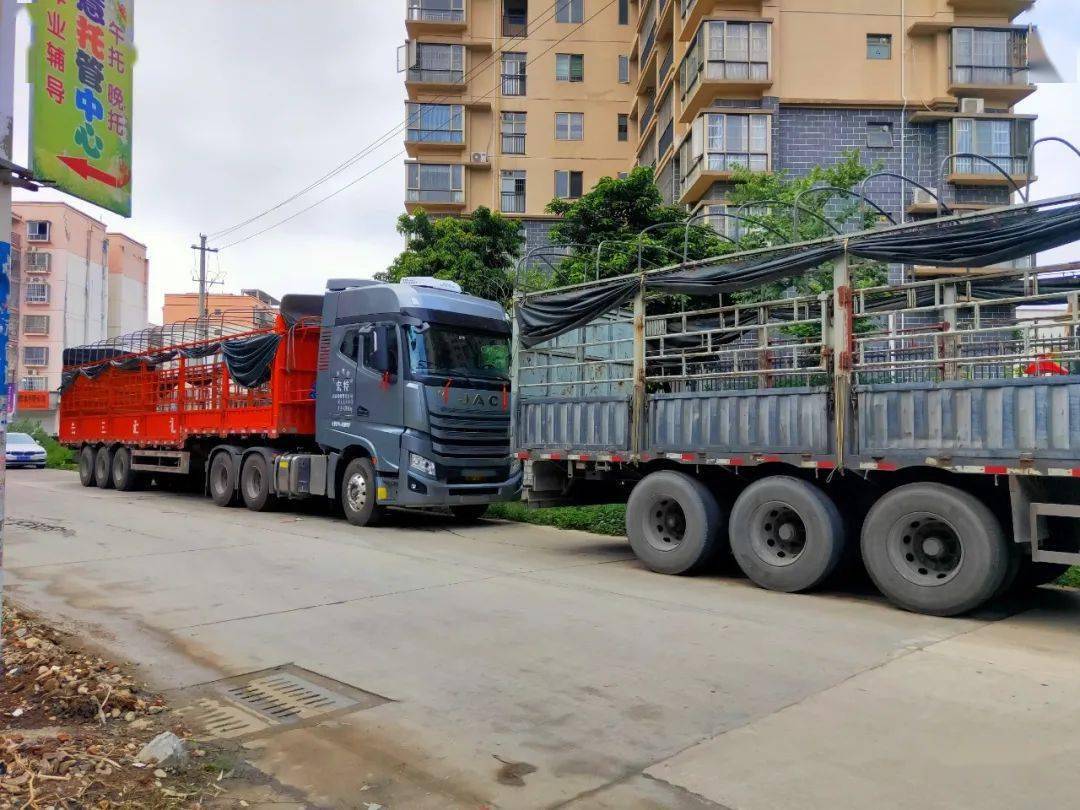 宾阳这条路停满一排大货车,马路变成"停车场"