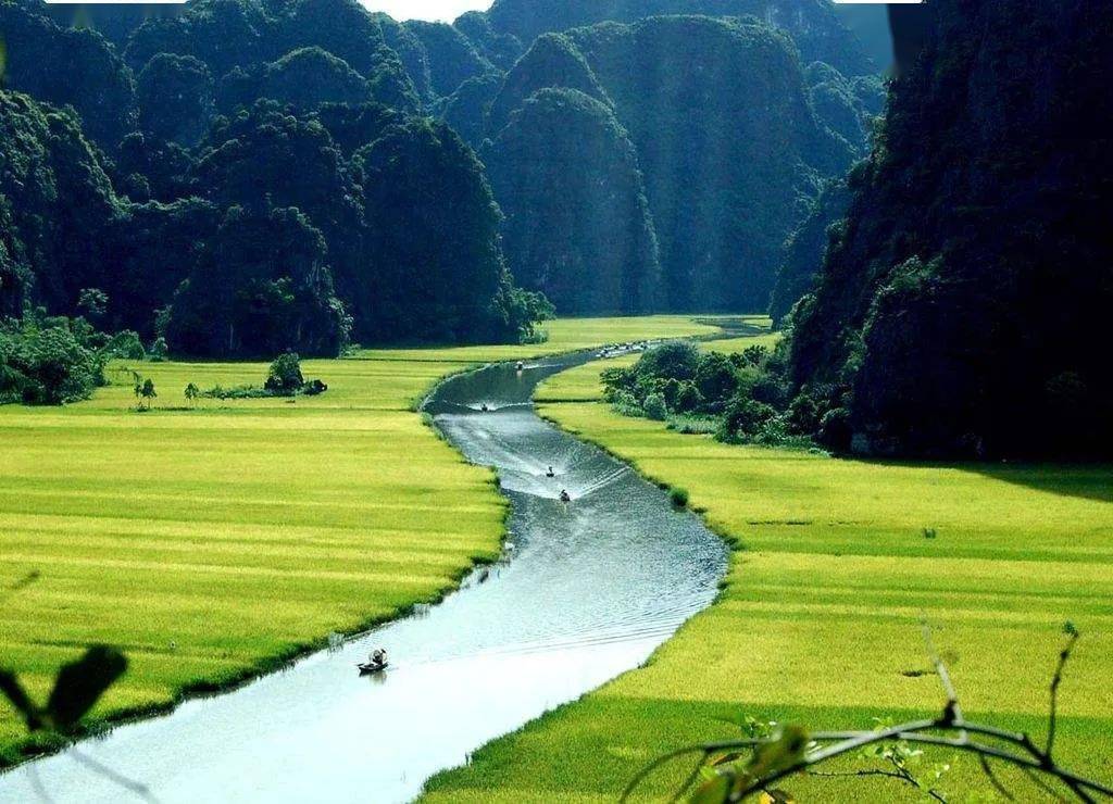 坚果|一定要试试这款【带衣腰果】了！又营养又好吃！平时喜欢吃坚果的股东