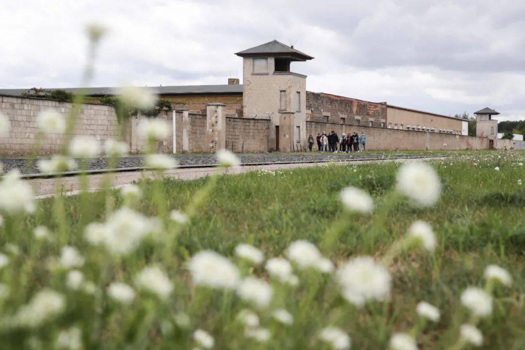 二战|“愿历史不再重演”：二战记忆六人谈