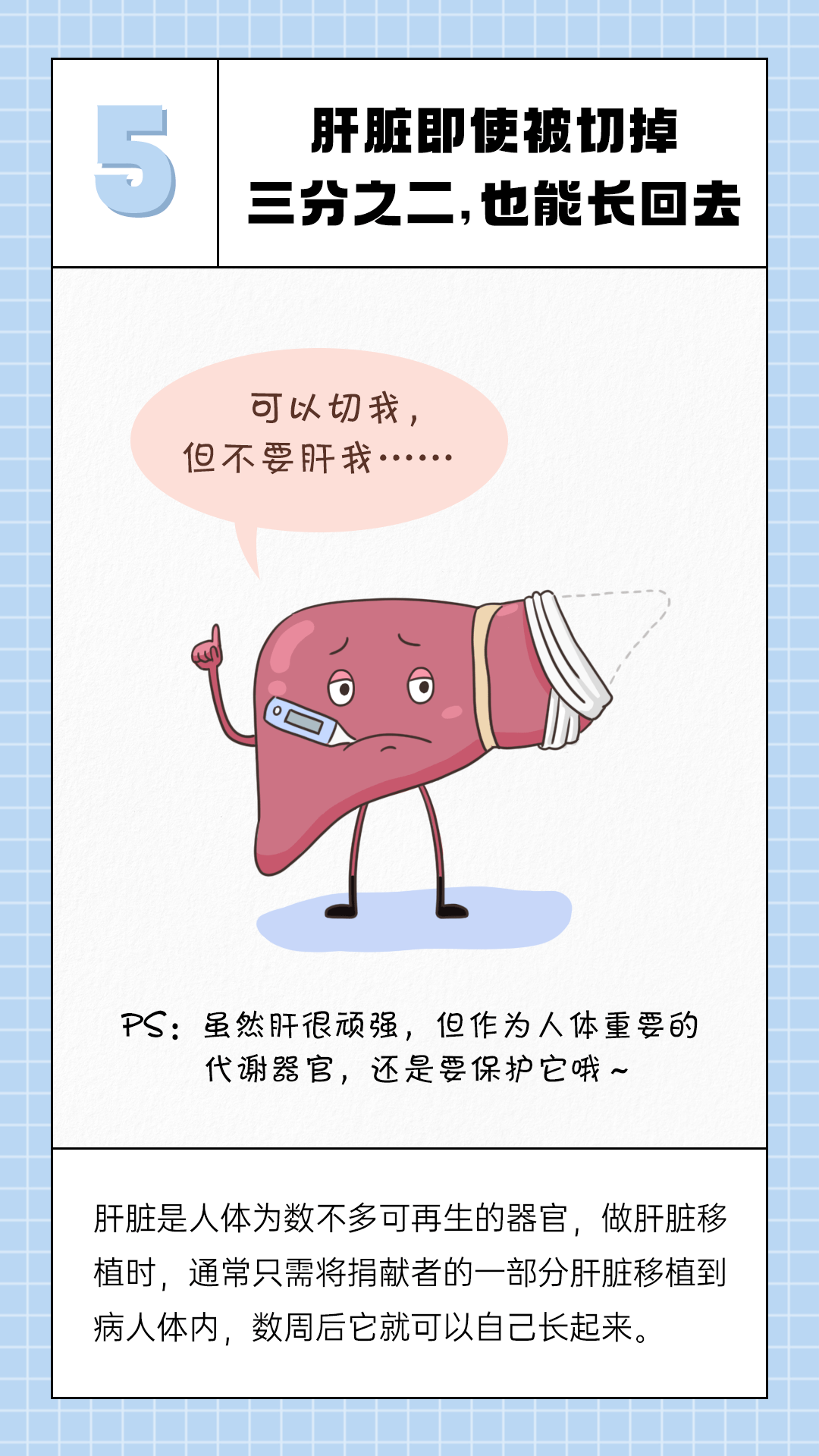 吃什么月经才会越来越多 817f14013bcb45a6aa5e128318a7fe8b.png