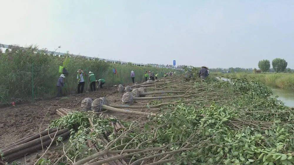 2020徐州各县gdp预测_徐州gdp(3)