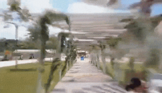 实力宠粉!1074德保矮马王国2天1晚自驾又双叒来啦