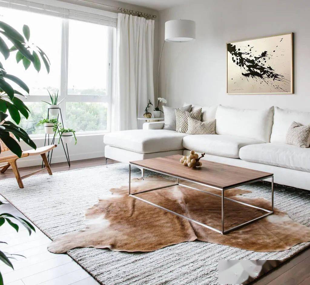 照片|显穷大白墙+网红装饰画=悲剧！