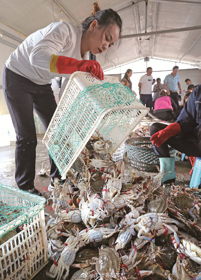上岸|连云港海产品上市！