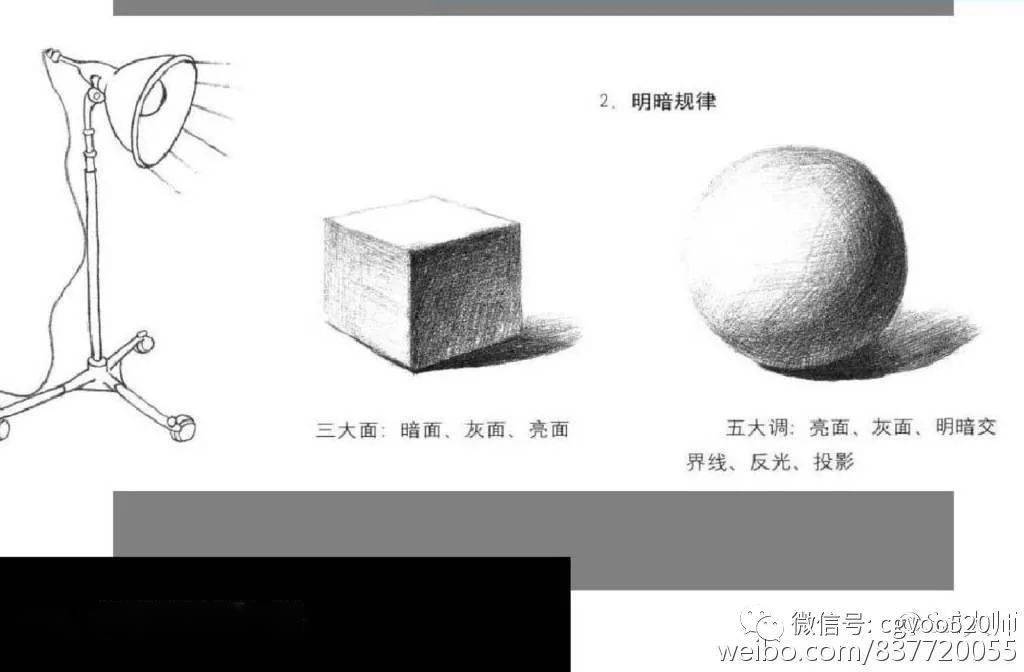 ‘AG官方’
插画教程(图3)